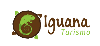 Iguana Turismo