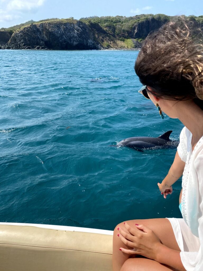 Passeio de barco com golfinhos em Fernando de Noronha