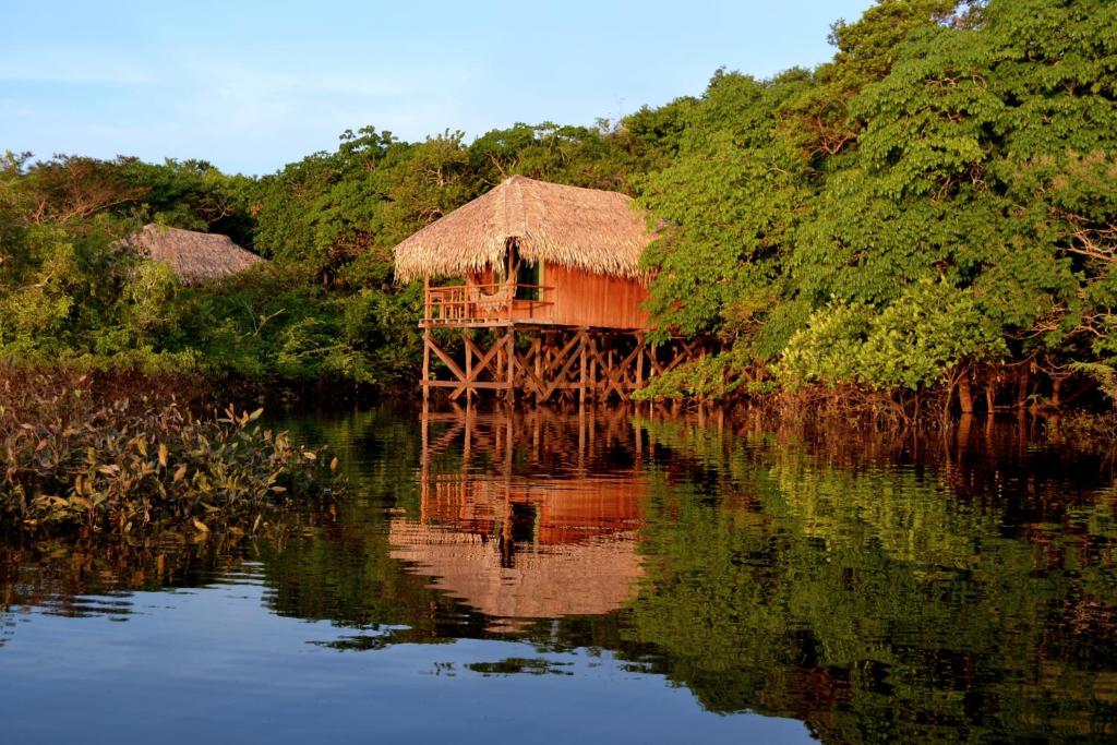 Juma Amazon Lodge vista