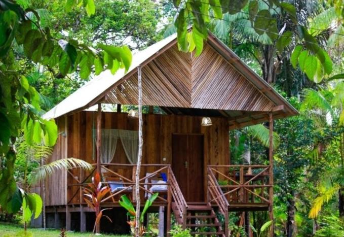 Hotéis na Selva Amazônica