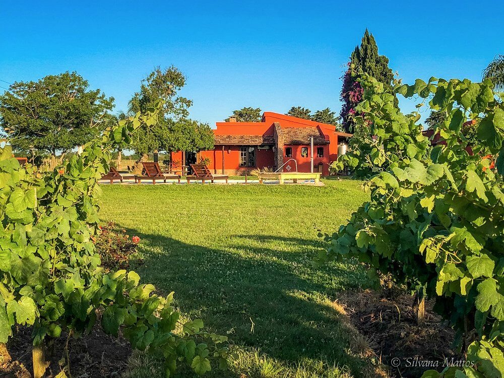 Bodega Boutique El Legado jardim