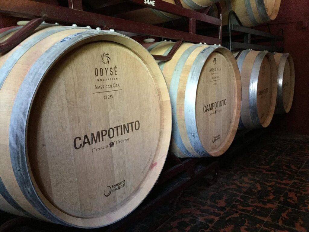 Bodega CampoTinto tonel vinicola