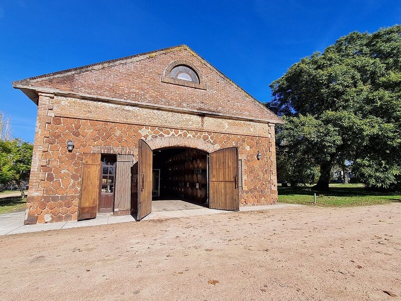 establecimiento janicó bodega