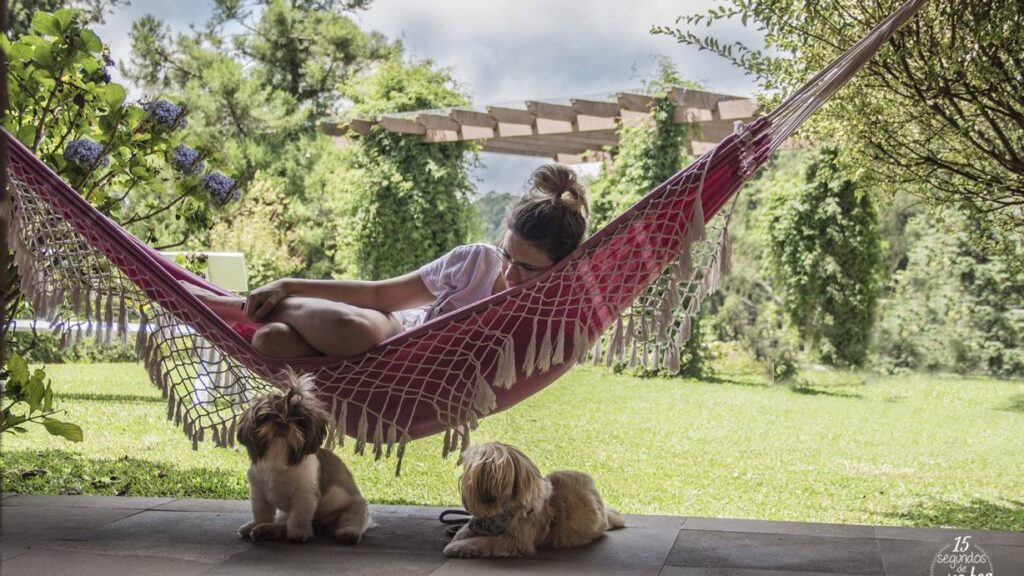 Uma rede no jardim com uma pessoa e dois cachorrinhos em frente. 