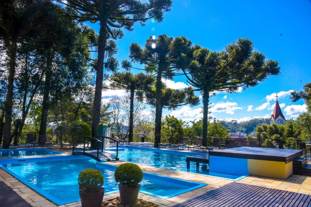 Piscinas ao ar livre, rodeadas por araucárias em hotéis em Gramado petfriendly.