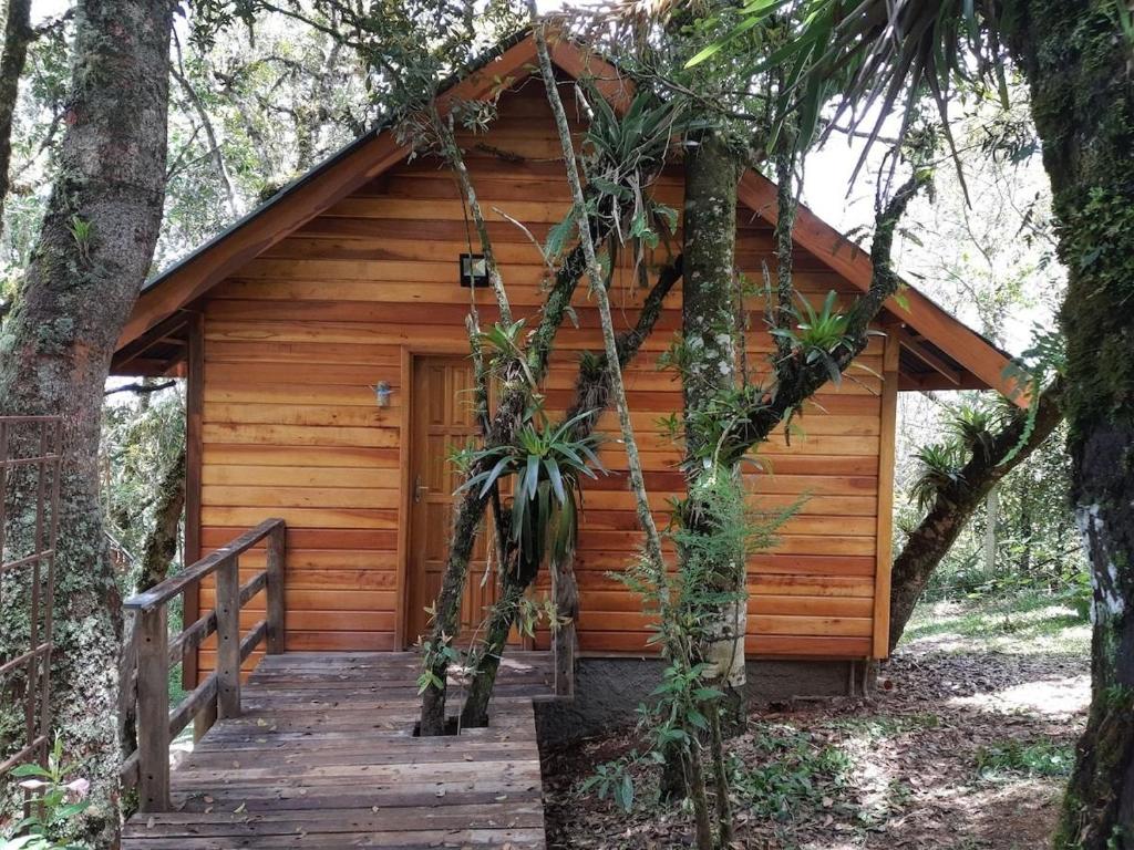 Fachada de um Chalé em madeira, com árvores grandes ao redor