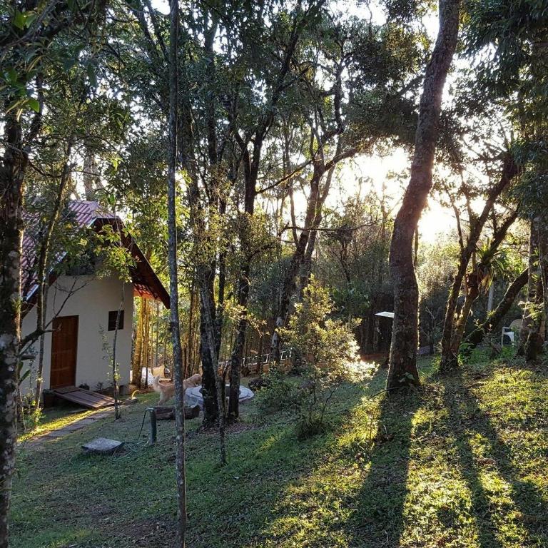 Área verde, com muitas árvores e um chalé bem reservado, mais ao fundo.