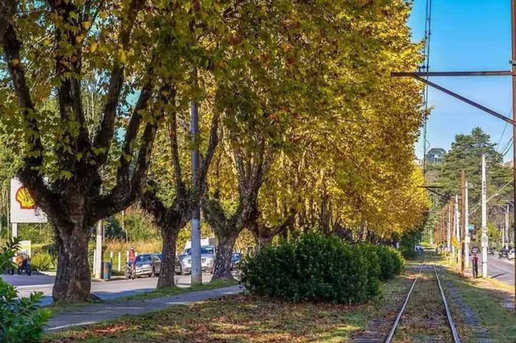 Caminhos por Campos do Jordão arborizados e trilho do trem em Onde ficar em Campos do Jordão