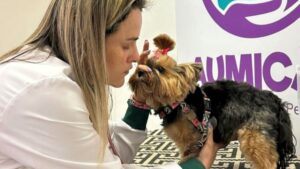 Vantagens Petlove - Viajando com Livia