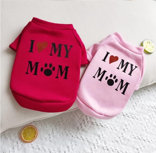 onde comprar roupa de cachorro​ - Viajando com Lívia