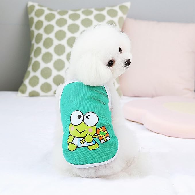 onde comprar roupa de cachorro​ - Viajando com Lívia