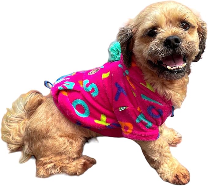 roupa para pets - Viajando com Lívia