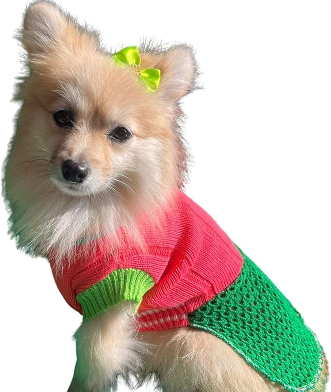 onde comprar roupa de cachorro​ - Viajando com Lívia