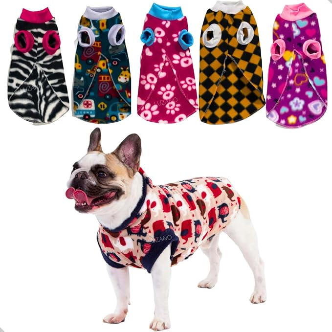 roupa para pets - Viajando com Lívia
