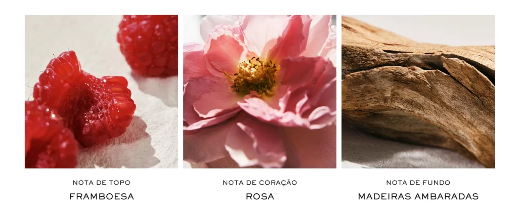 Notas da fragrância Chloé L’Eau de Parfum Intense