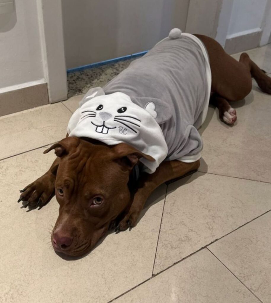 Dora relaxando com seu pijama de coelhinho.
