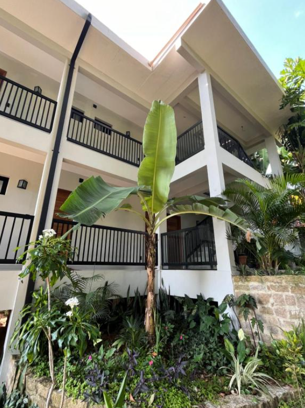 Pousadas pet friendly em Ilhabela