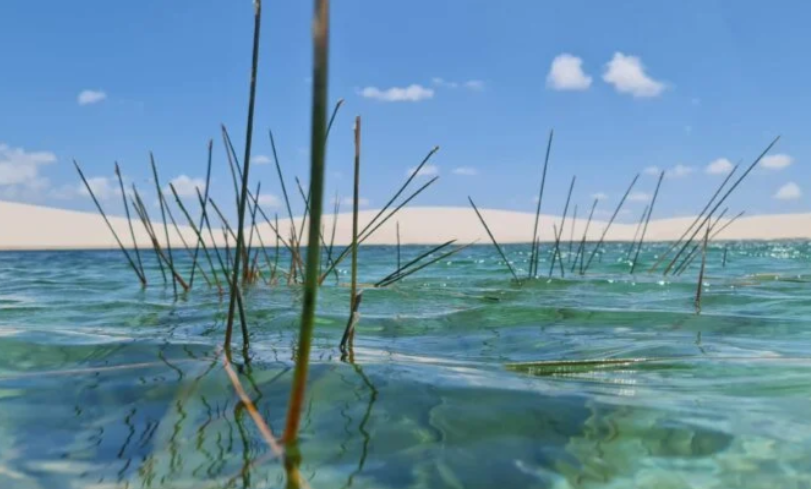 O que fazer nos Lençóis Maranhenses