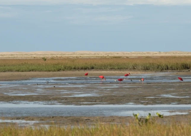 O que fazer nos Lençóis Maranhenses