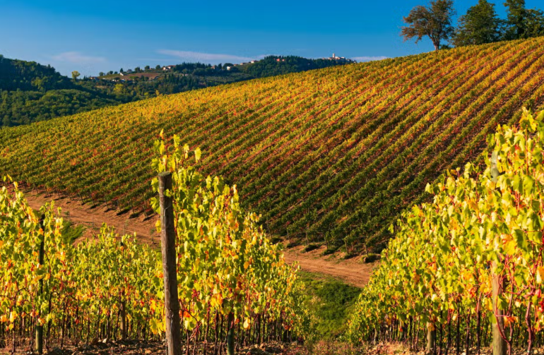 um dos vinhos mais famosos de It&aacute;lia? Descubra-o com este tour pelo vale do Chianti