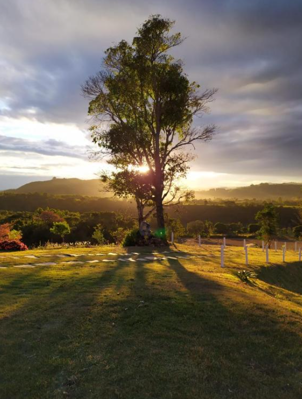 Pousada Mirante dos Ip&ecirc;s &eacute; pet friendly com clima acolhedor na natureza